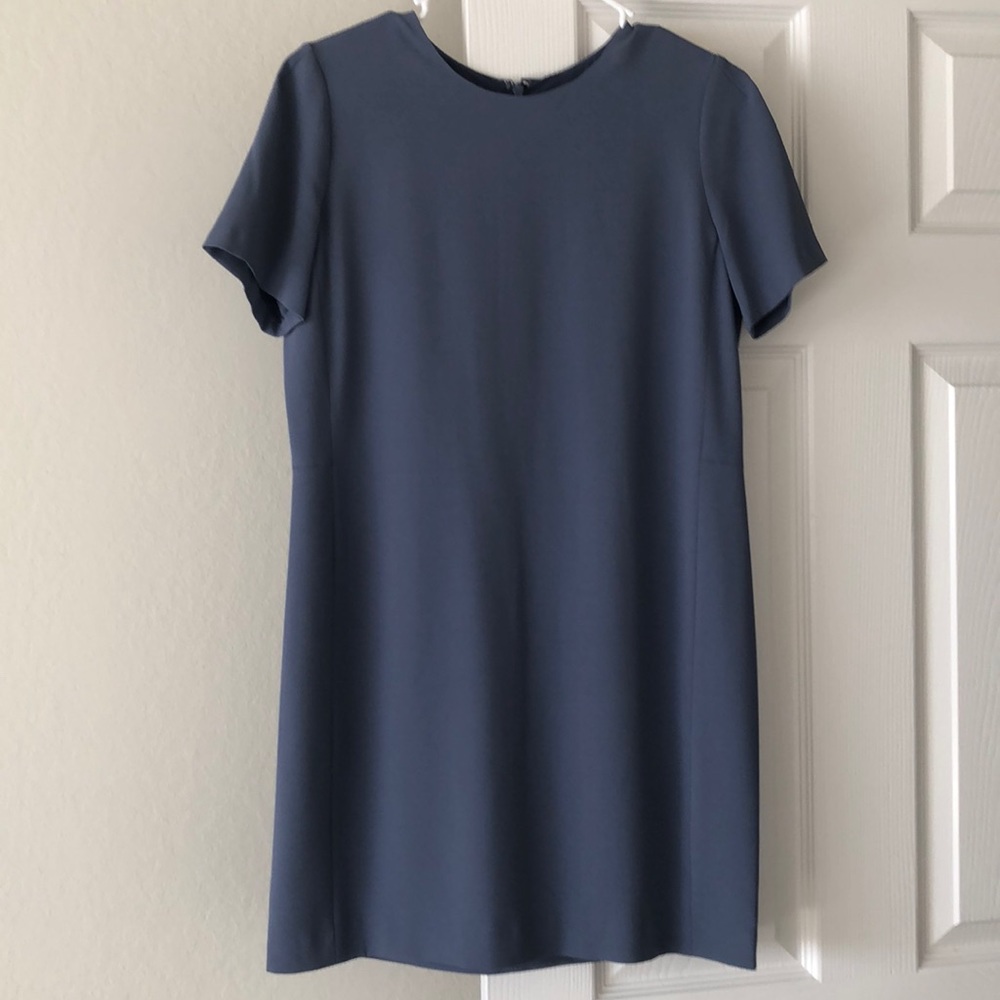Aritzia Patricio dress